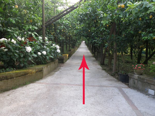 Agriturismo